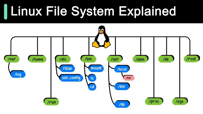 Linux File System Explained!