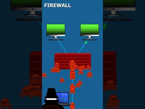 What is a Firewall? (short)