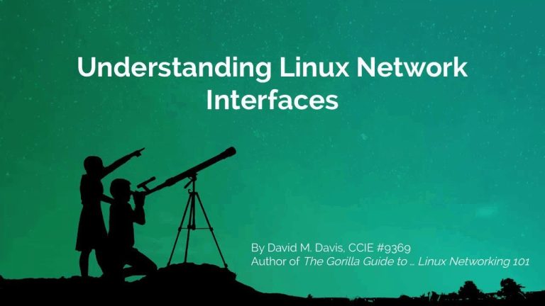 Understanding Linux Network Interfaces